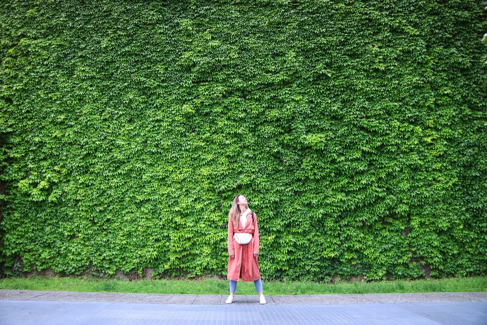 Milan: Duomo Ticket & Audio Tour with a City Walk - photo 2