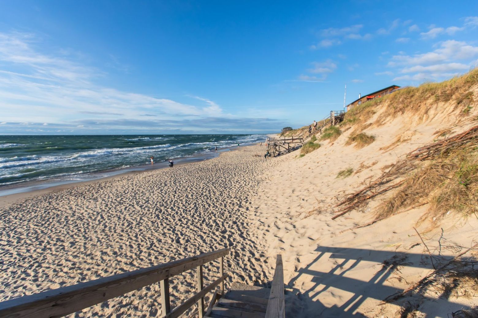 Куршская коса: автопутешествие с аудиогидом по стране гнёзд - photo 2