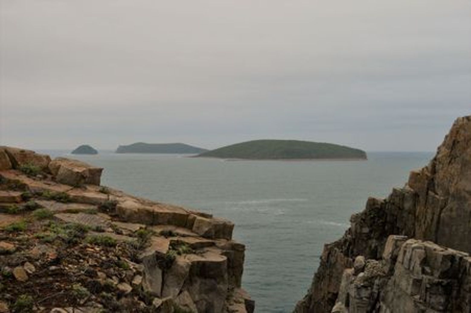 Остров Попова: прогулка на краю света - photo 3