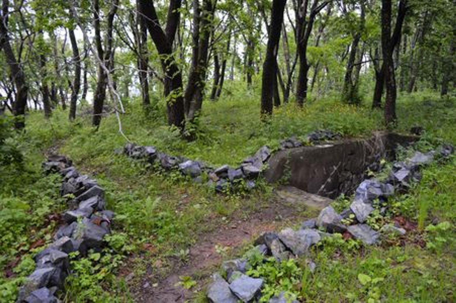 Остров Попова: прогулка на краю света - photo 4