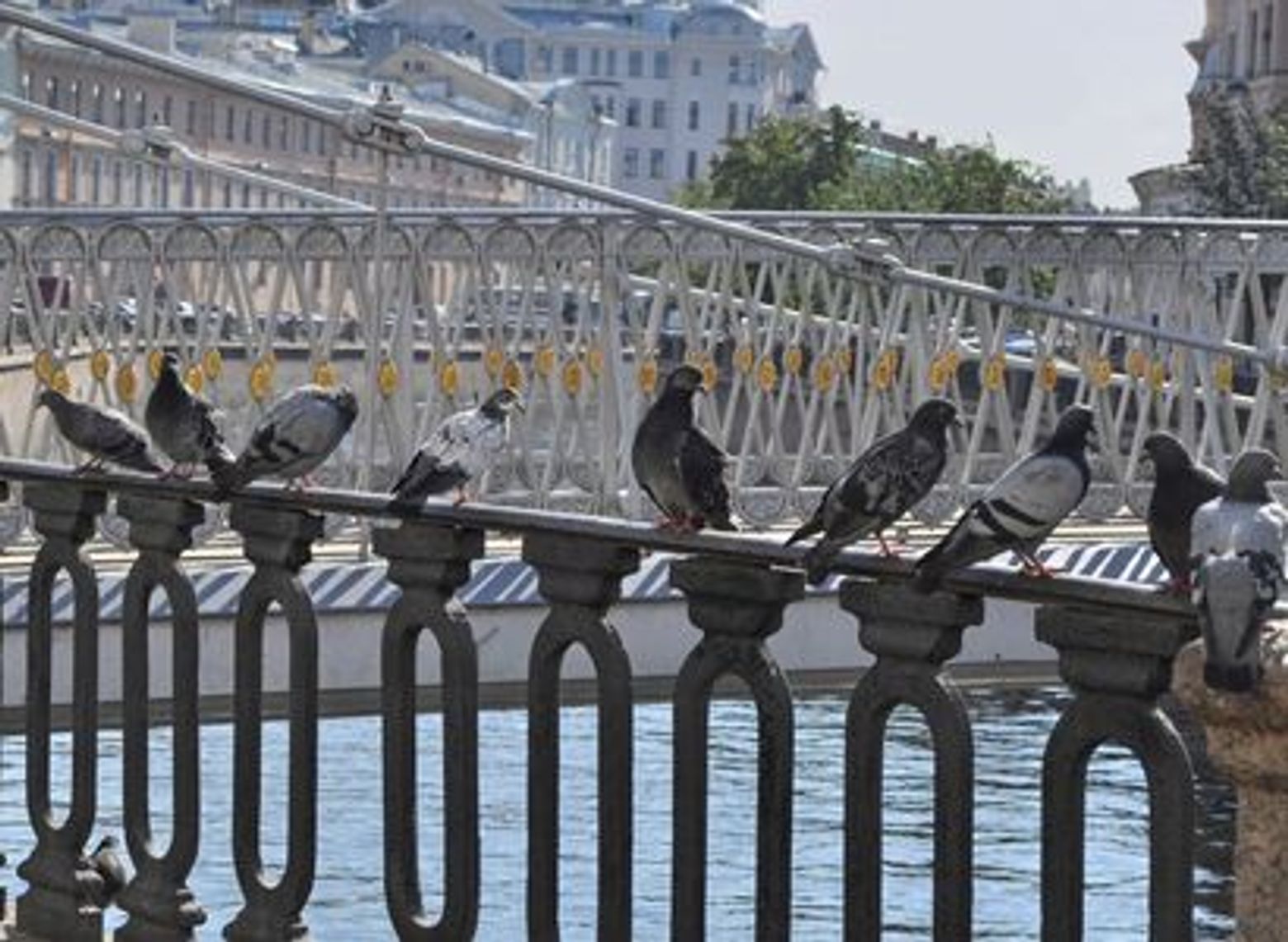 Аудиотур по залам Мраморного дворца: Дворцовые интерьеры и шедевры разных эпох - photo 4