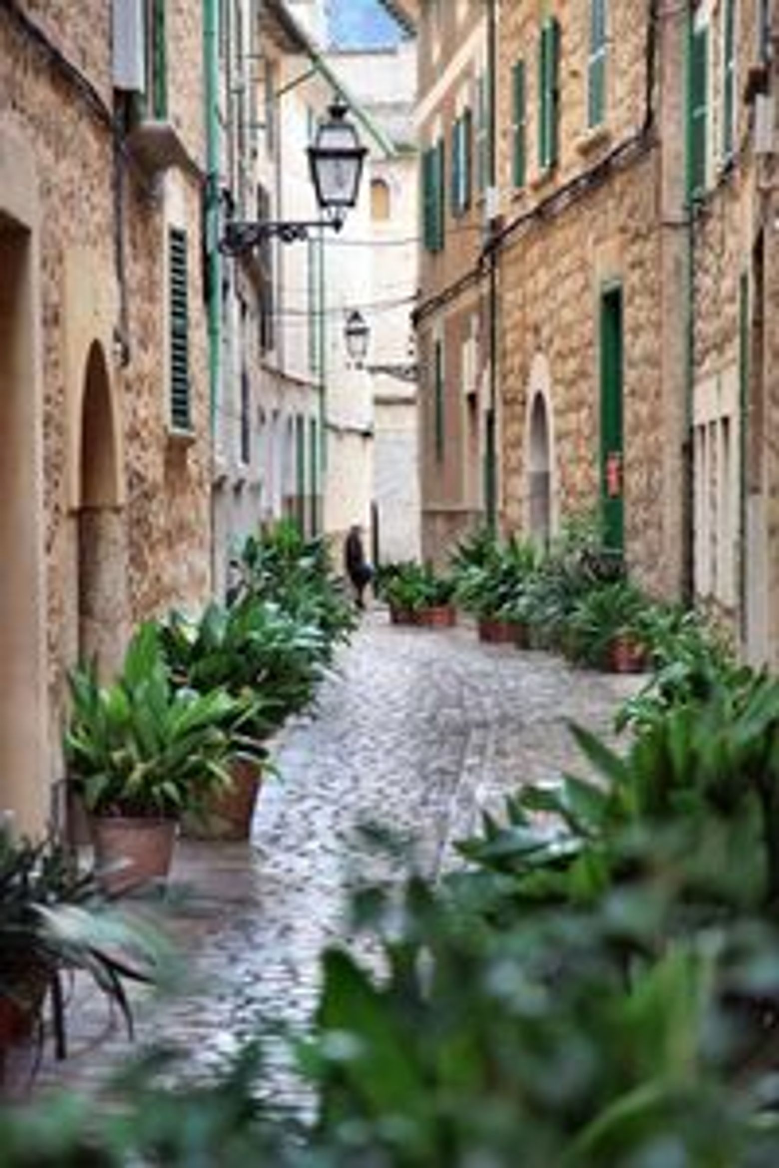 Сольер, сказка о старом — главное за 2 часа с аудиогидом - photo 4