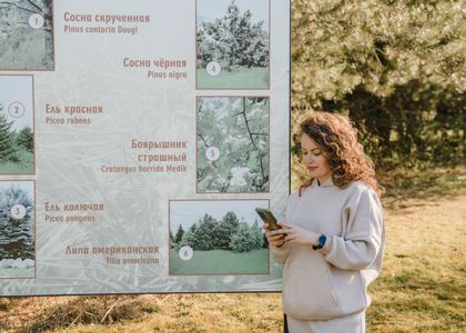 Дендрологический сад им. С.Ф. Харитонова: познавательная прогулка для любителей природы - photo 4