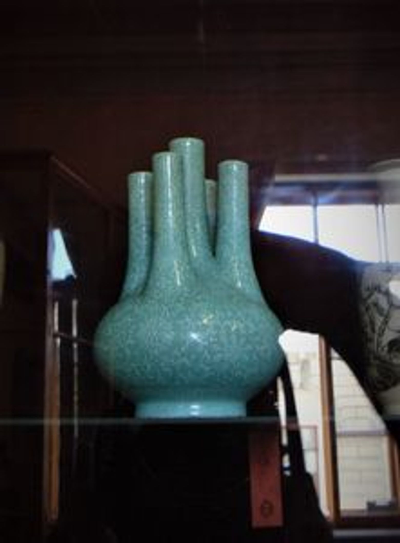 Петровская Кунсткамера — билет и аудиоэкскурсия в приложении - photo 4