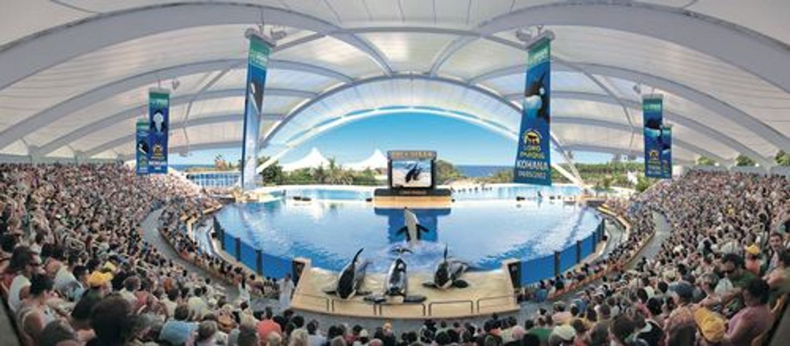 Парк Loro Parque: Входной билет - photo 3