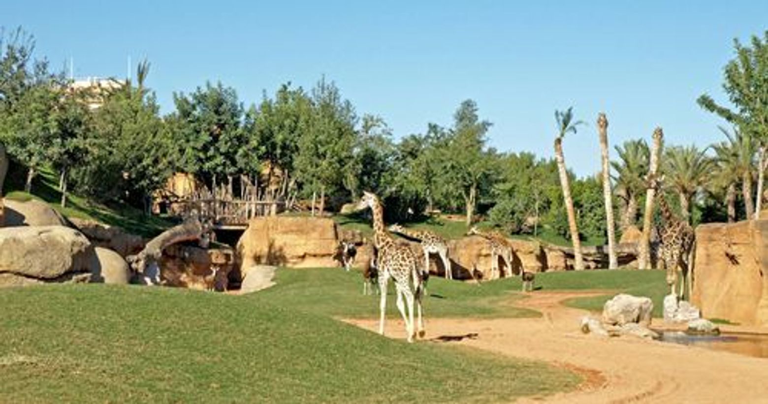 Биопарк Валенсии: Билет с быстрым входом - photo 4