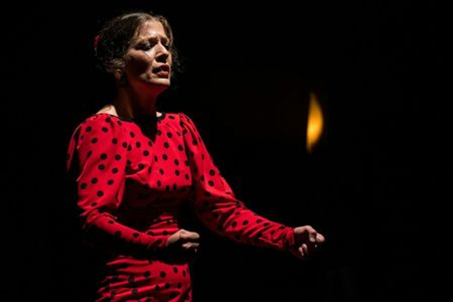 Мадрид: шоу фламенко в театре фламенко - photo 4