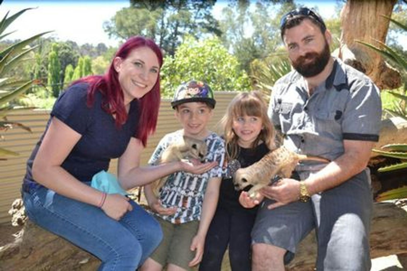 Парк дикой природы Gorge: Входной билет - photo 3