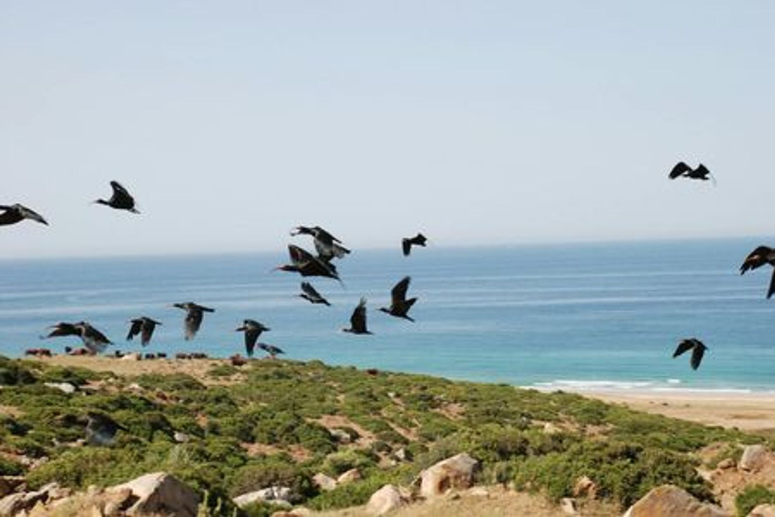 Парк Natura Viva: билет с открытой датой - photo 4