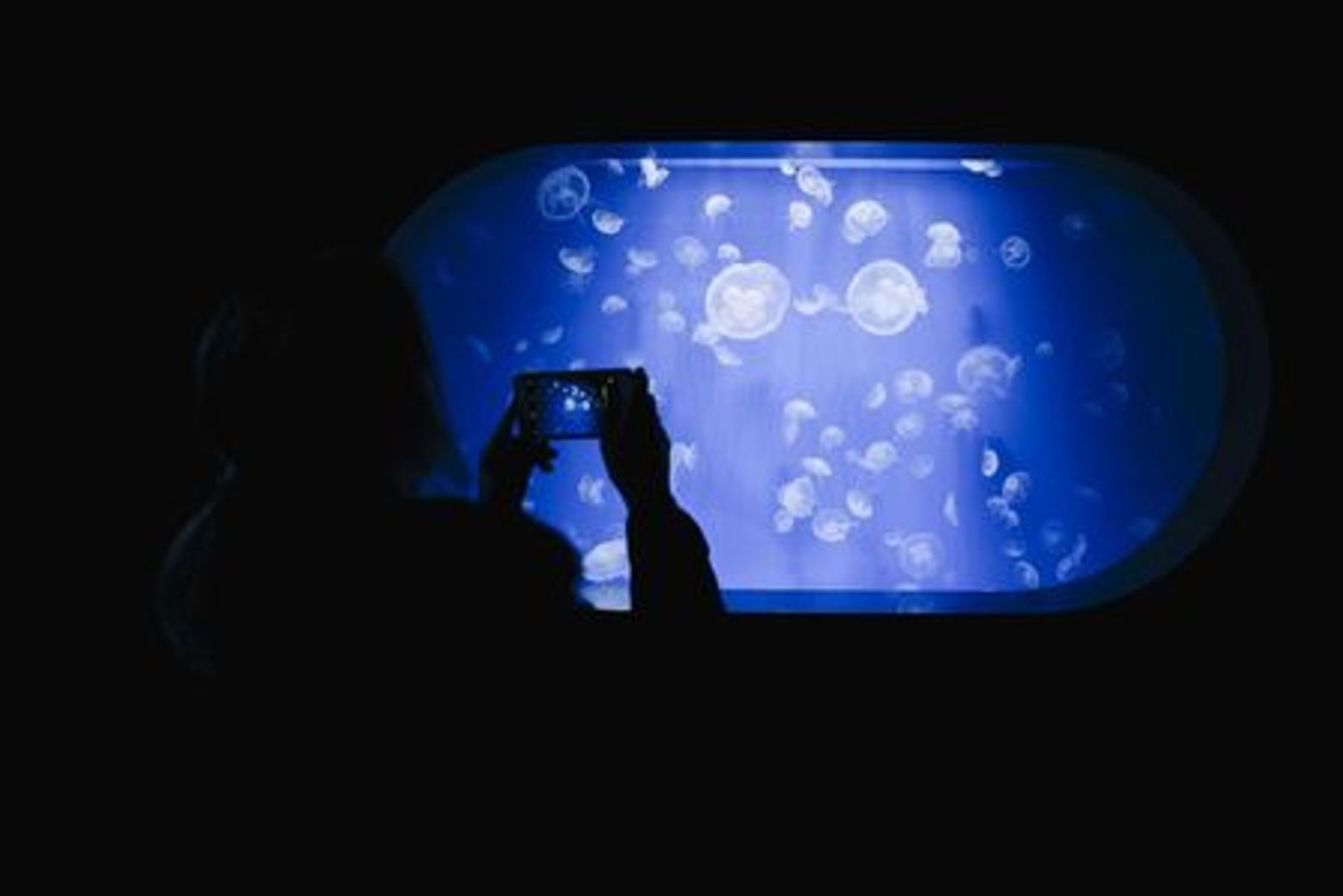 Океанографический центр Валенсии: Входной билет - photo 3