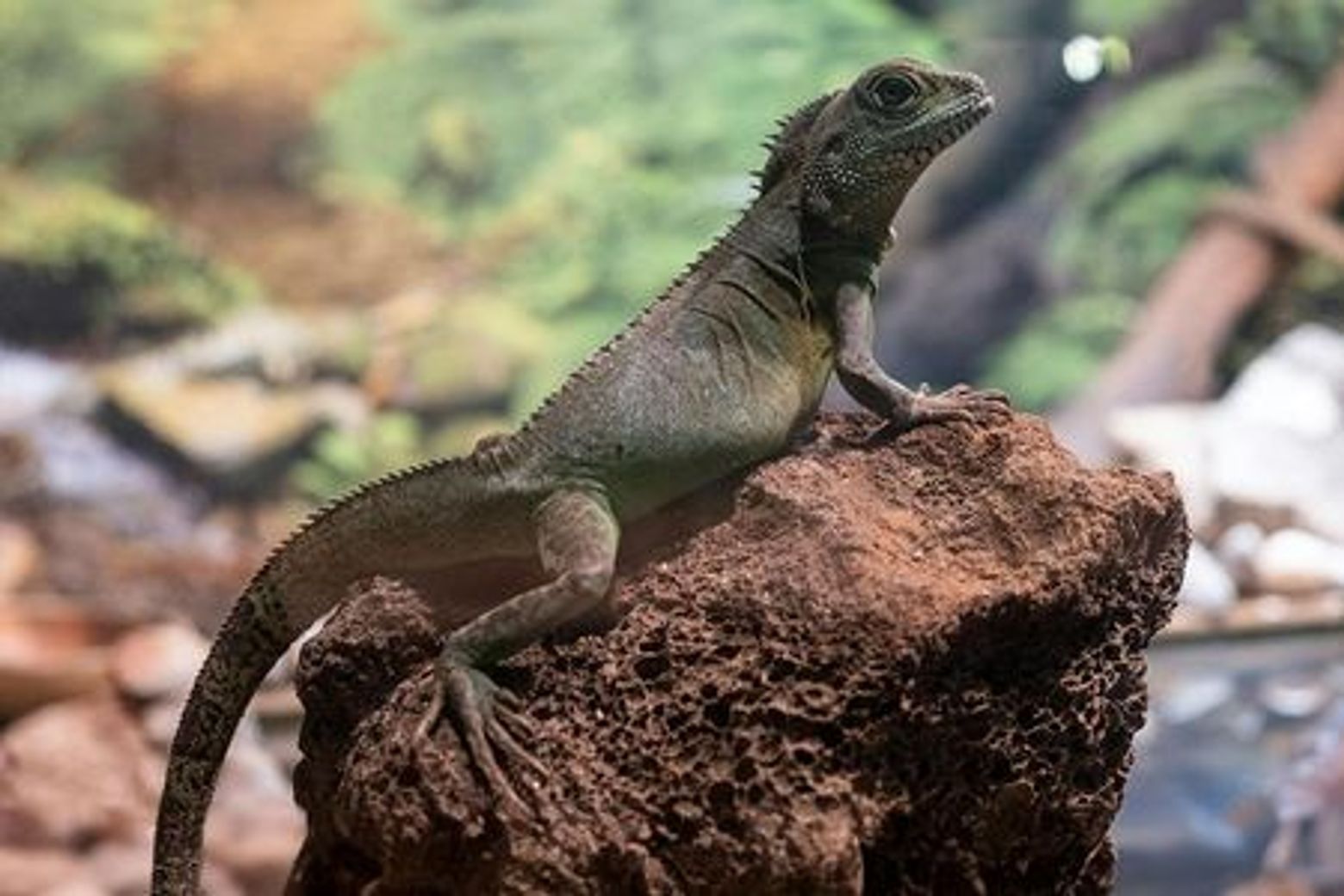 Стамбул: входной билет в аквариум и подводный зоопарк - photo 4