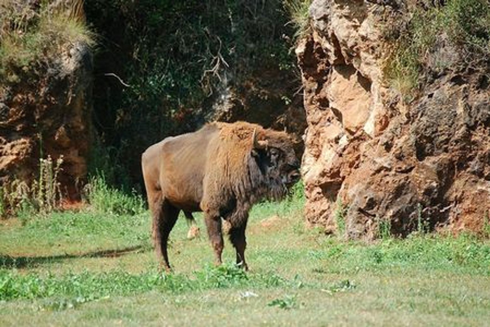 Природный парк Кабарцено: Входной билет - photo 4