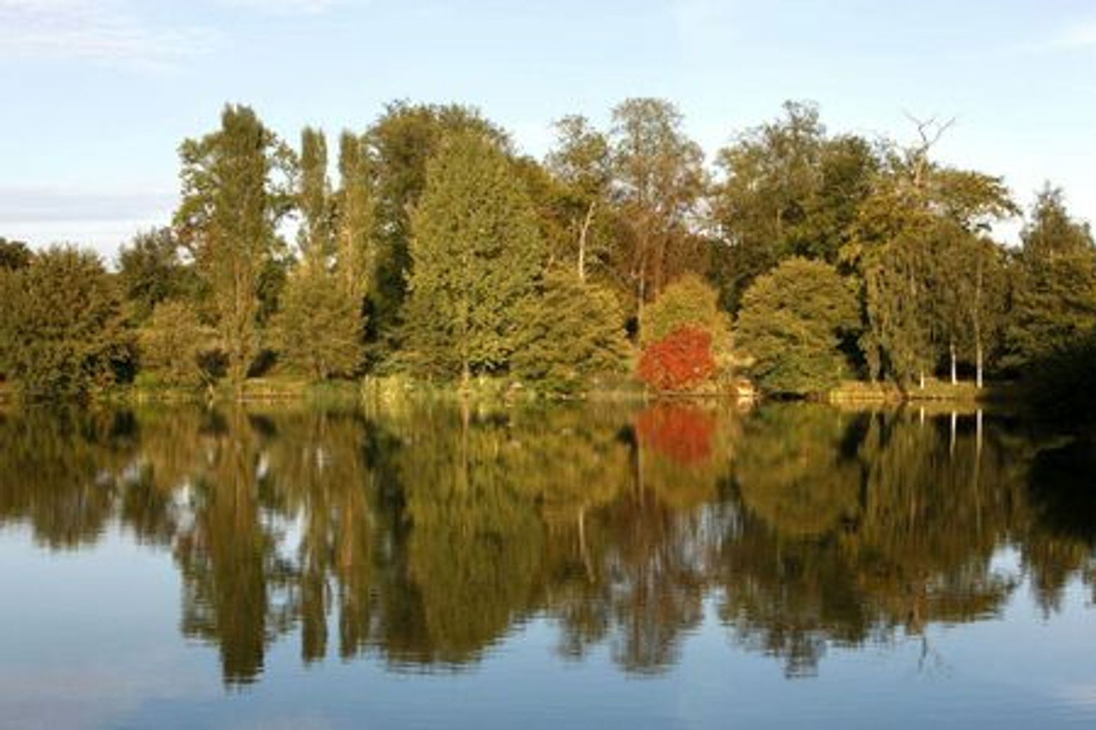 Дендрарий Шеврелуп: Входной билет - photo 4