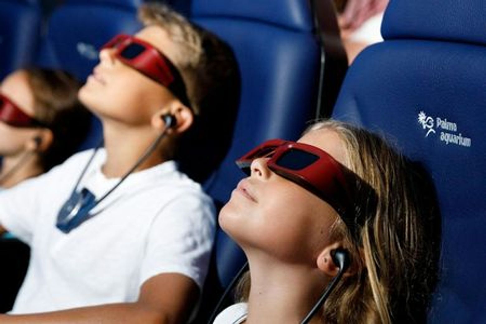 Аквариум Пальмы: Билет с входом без очереди + Дополнительный 3D-кинотеатр Aquadome - photo 4