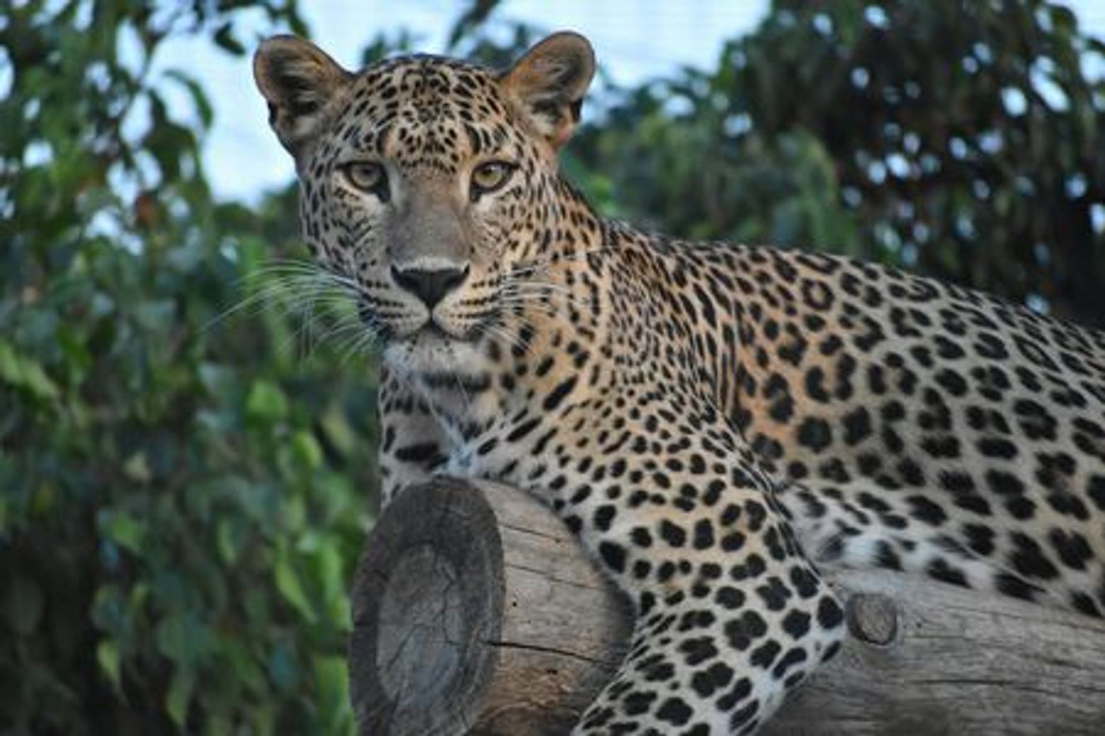 Terra Natura Murcia: Входной билет - photo 3