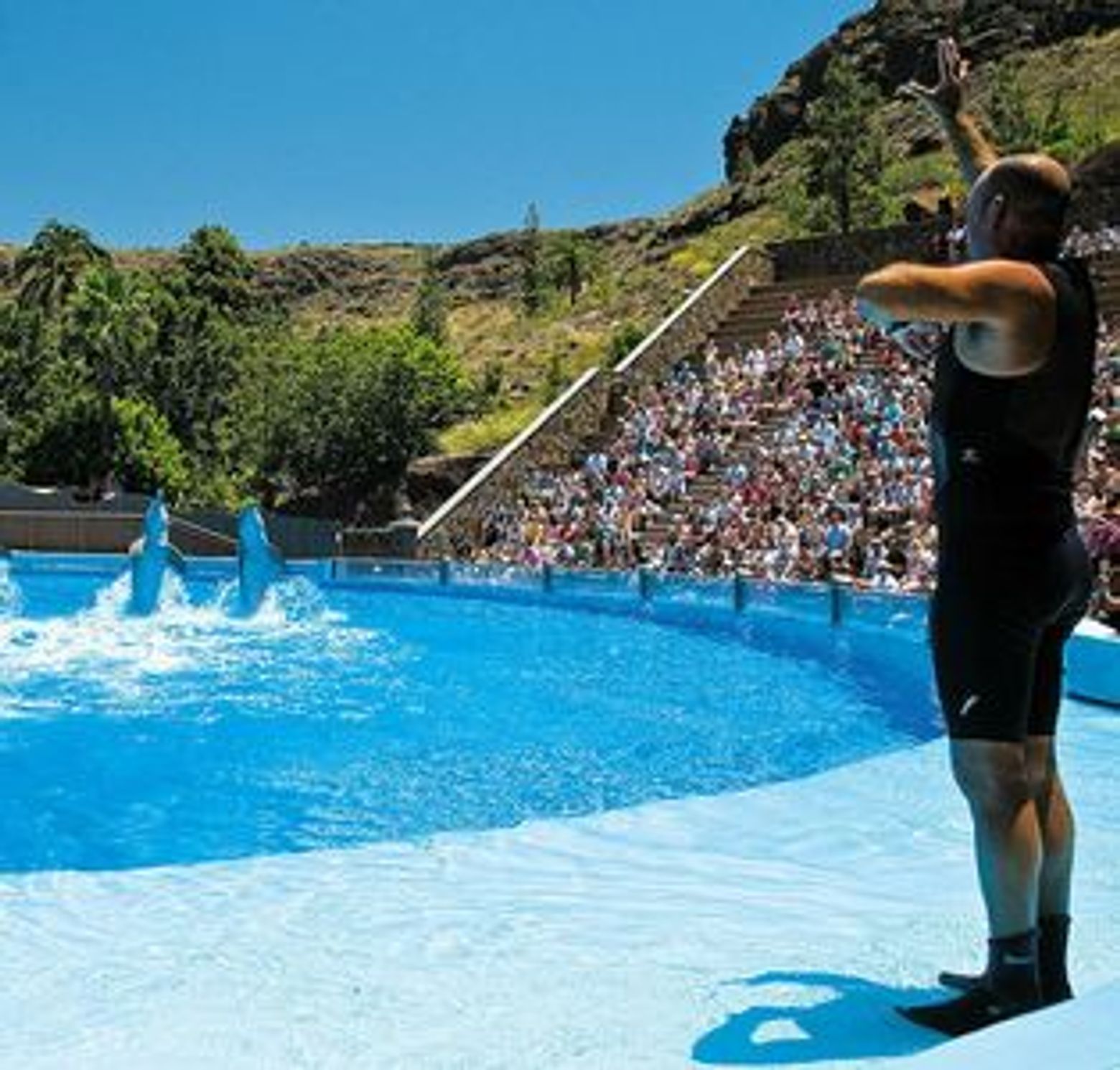 Парк Пальмитос: Входной билет - photo 4