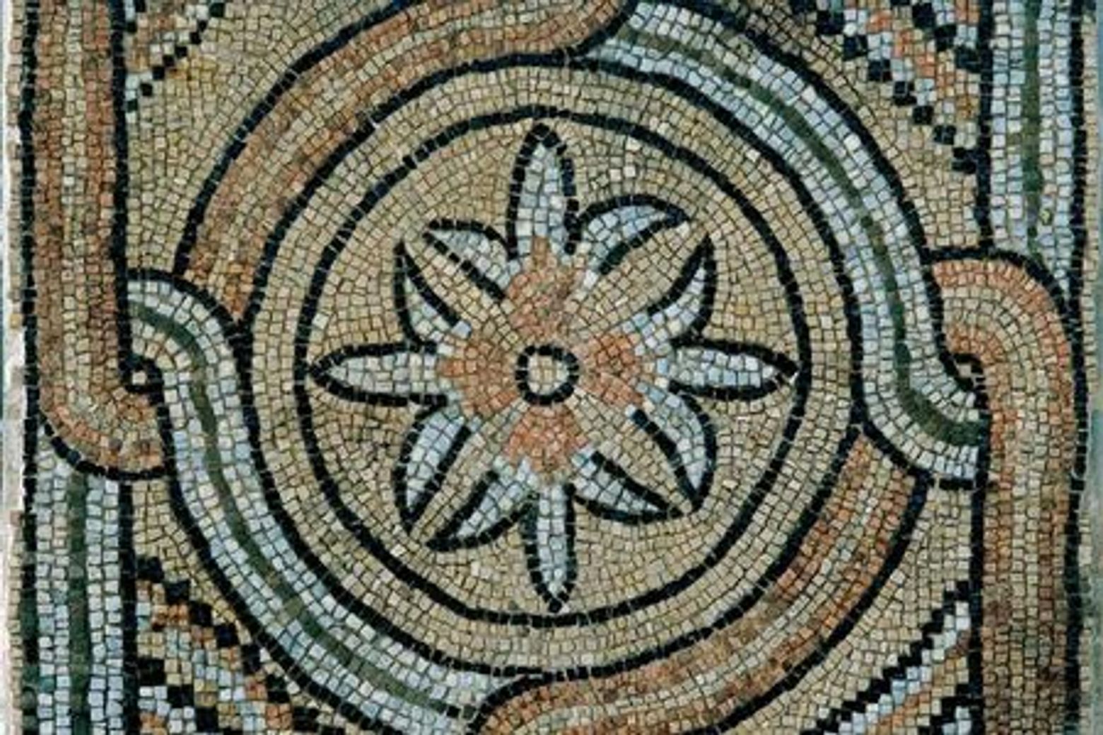 Domus dei Tappeti di Pietra: входной билет - photo 4