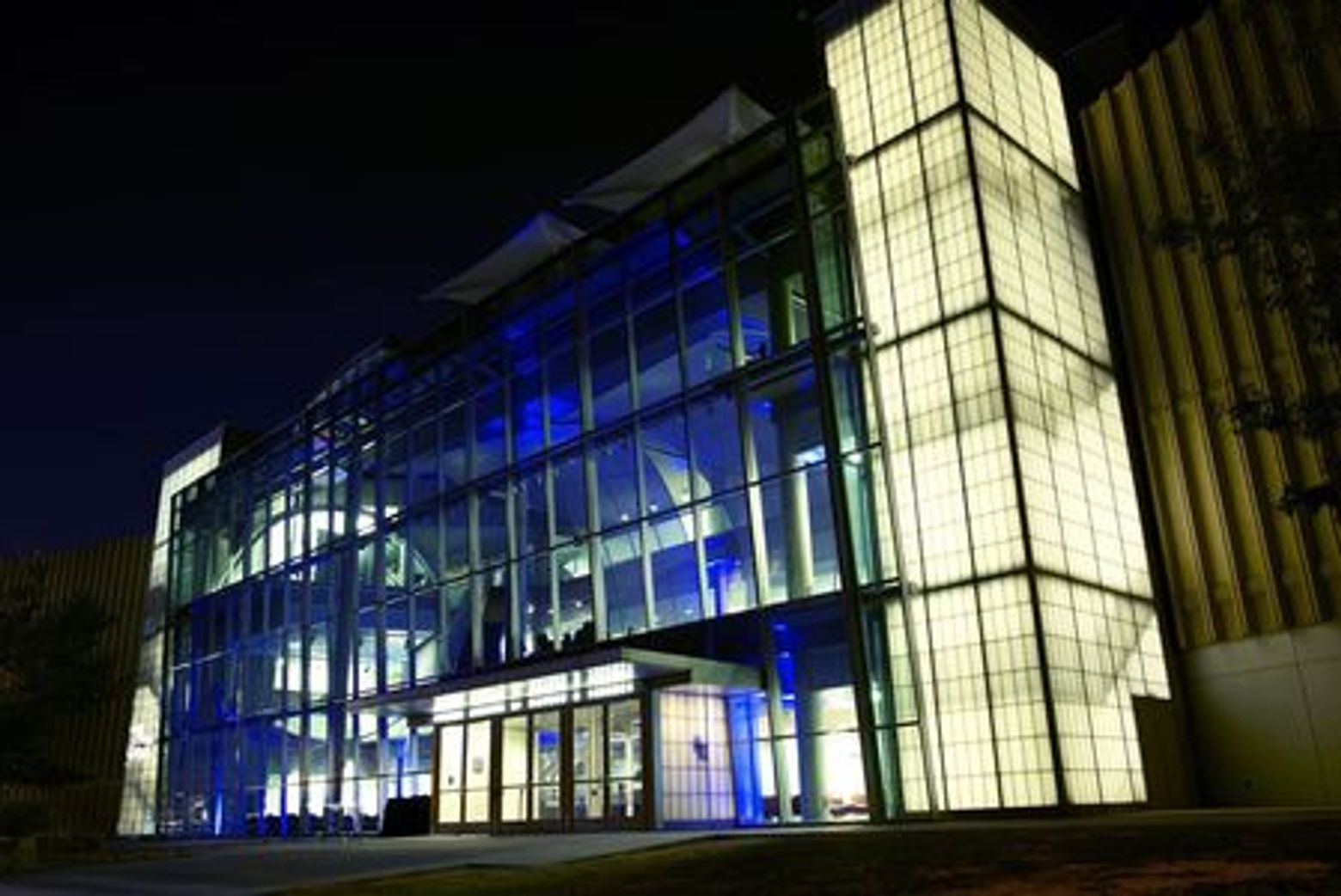 Денверский музей природы и науки: Билет и аудиотур в приложении - photo 4