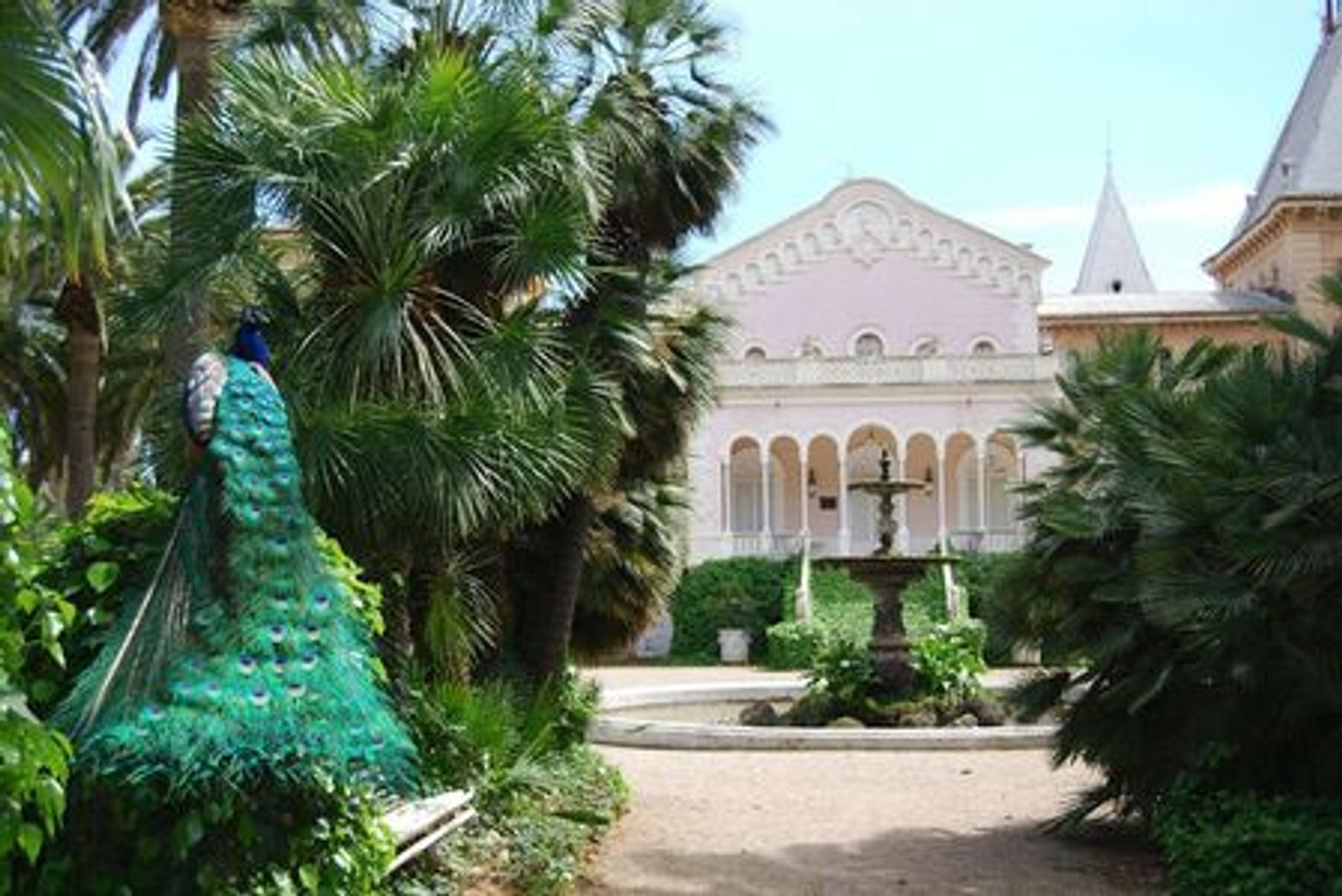 Парк Сама: Билет с входом без очереди - photo 4