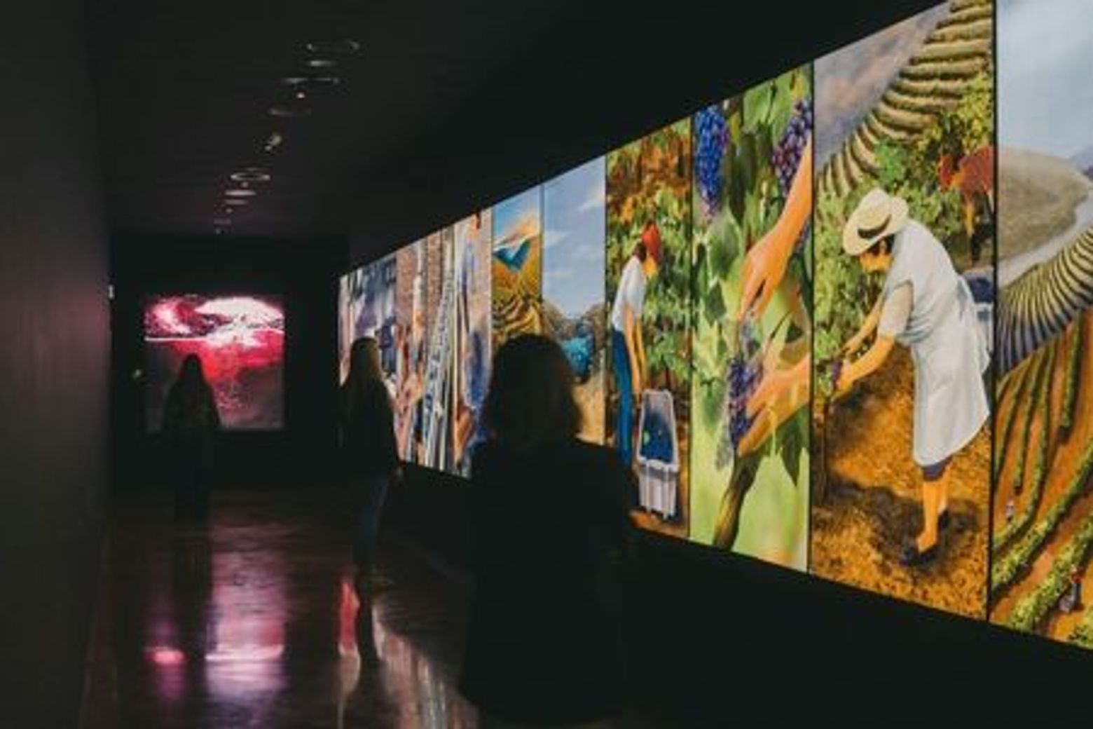 Музей Taylor 's Cellars & WOW: входной билет - photo 4