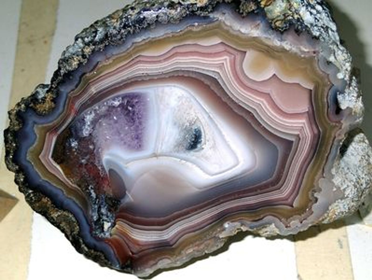 Денверский музей природы и науки: Билет и аудиотур в приложении - photo 3