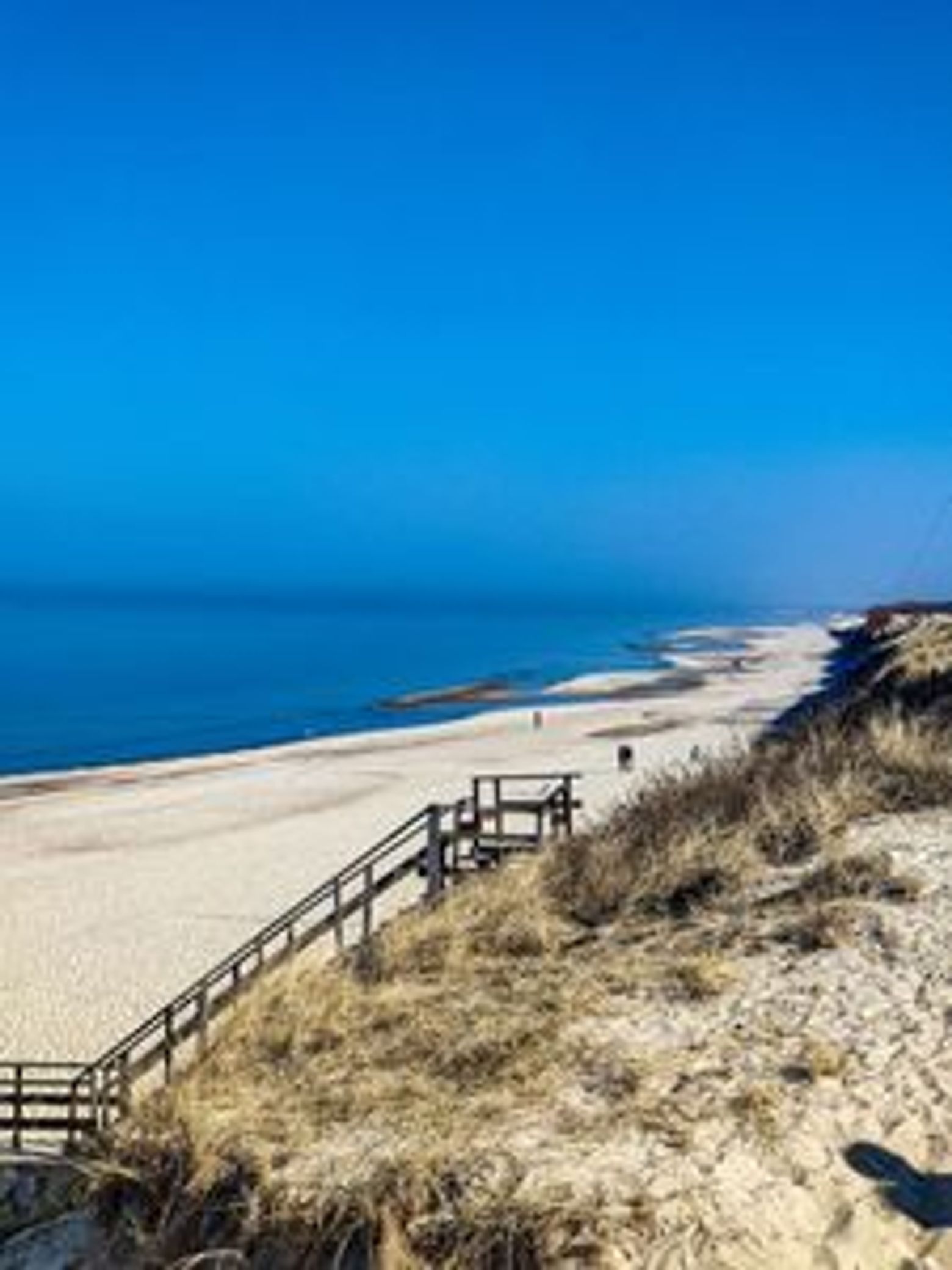 Куршская коса: автомобильная театрализованная аудиоэкскурсия (без билета) - photo 3