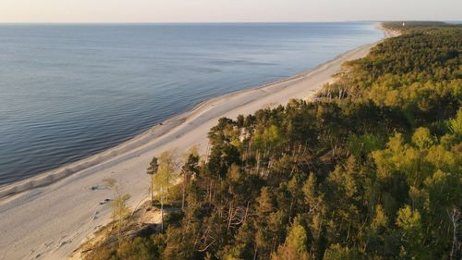 Куршская коса: автомобильная театрализованная аудиоэкскурсия (без билета) - photo 4