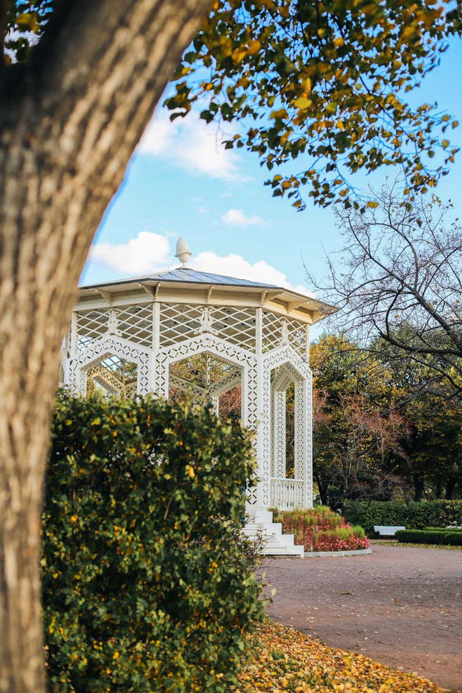 Нескучный Парк Горького: фотоэкскурсия по главному парку столицы - photo 2
