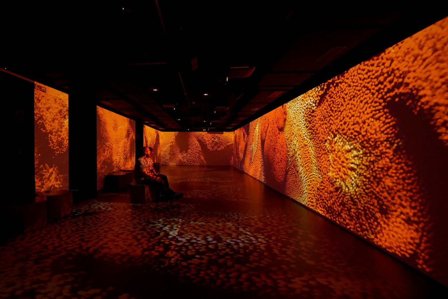 Legends - The Home of Football: входной билет - photo 2