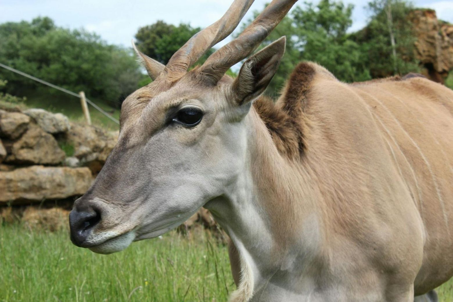 Природный парк Кабарцено: Входной билет - photo 2