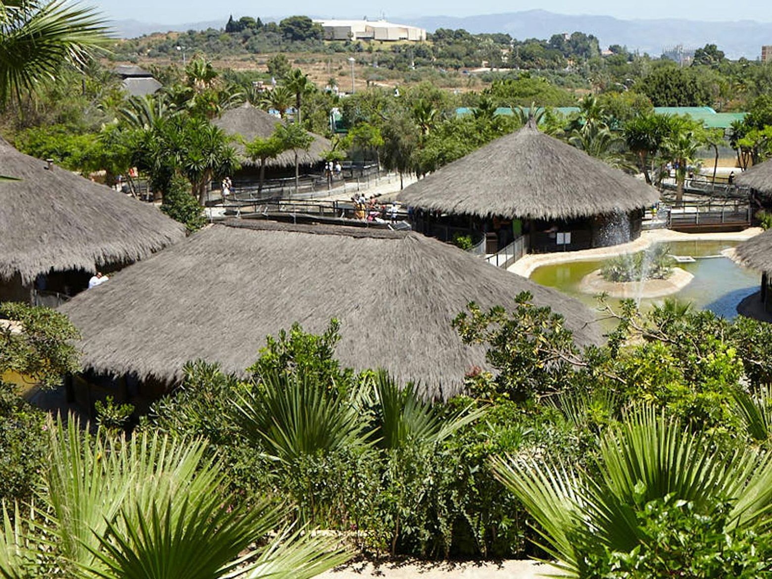 Крокодиловый парк Торремолинос: Входной билет - photo 2