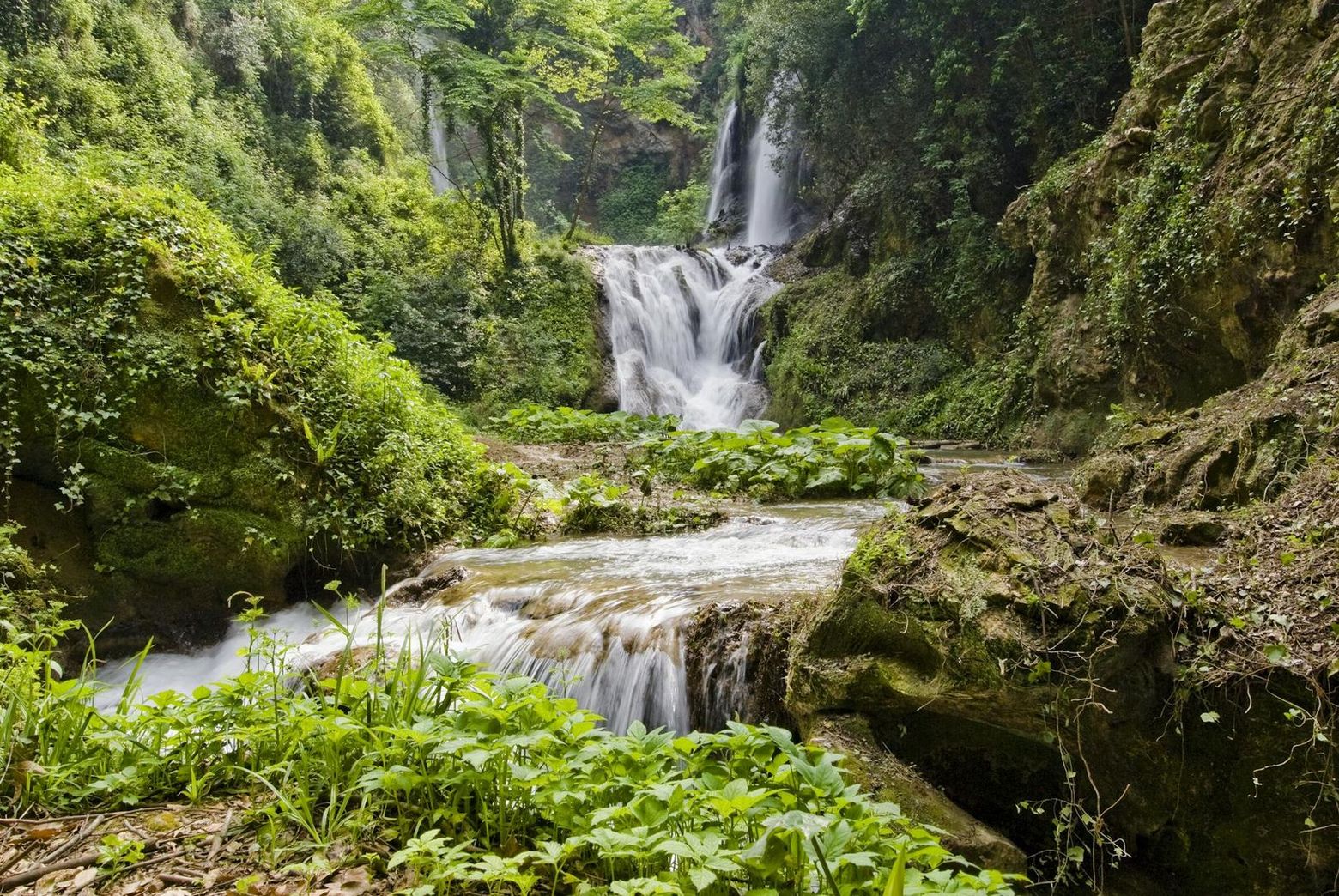 Вилла Грегориана: Входной билет