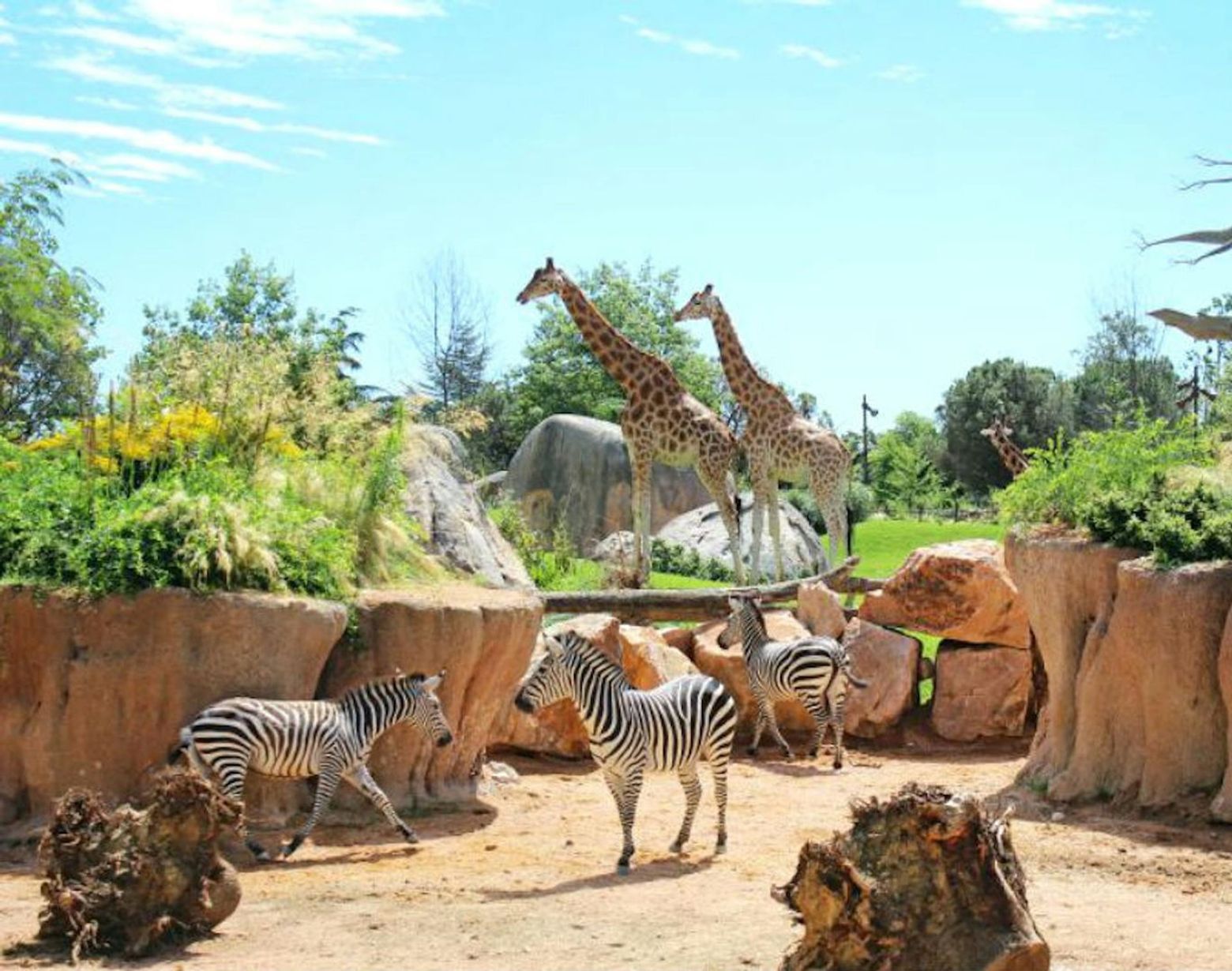 Увеличить Турин: Входной билет