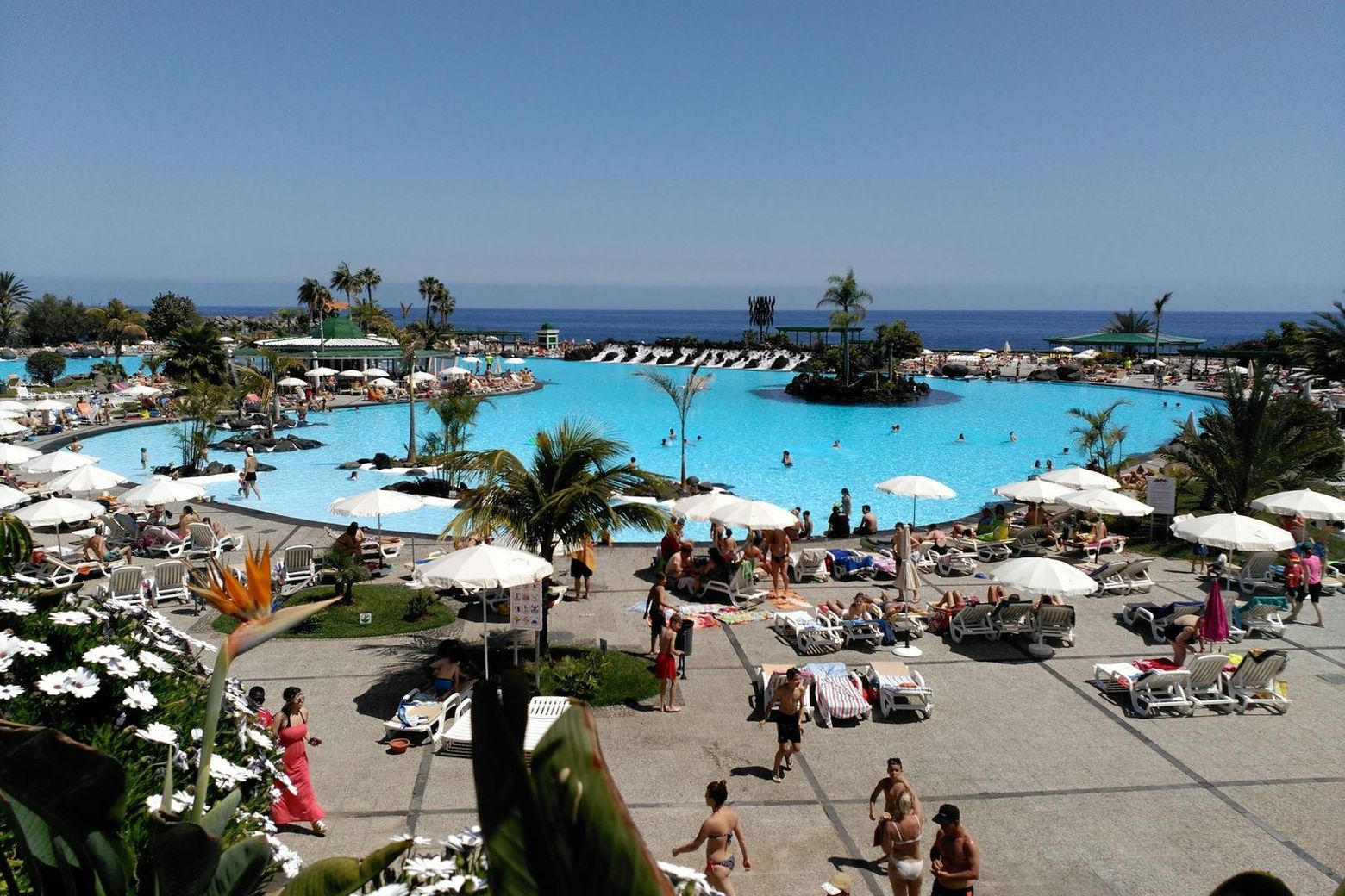 Морской парк Сезар-Манрике: Входной билет - photo 2