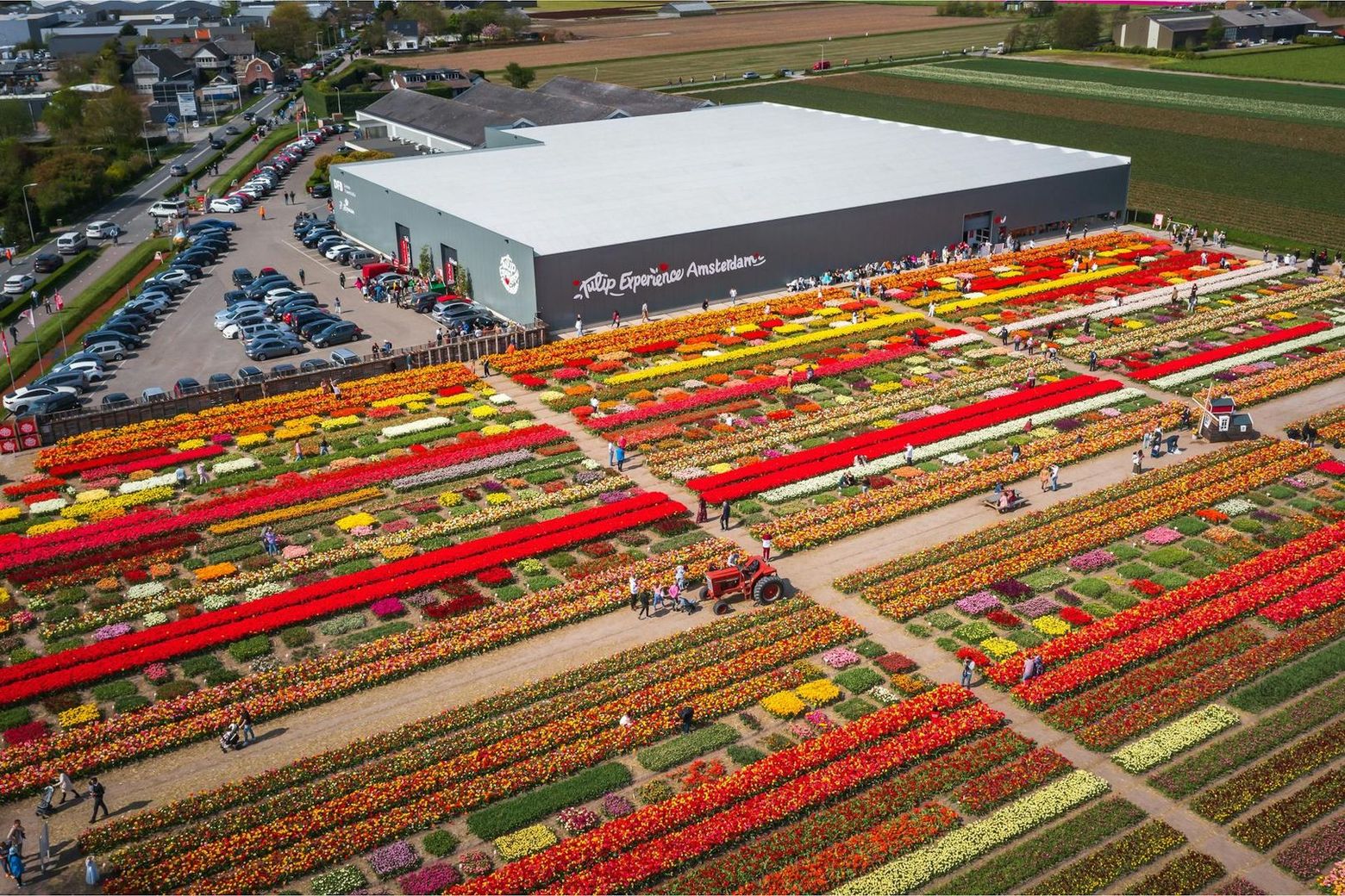 Тюльпановый опыт Амстердама: Входной билет - photo 2