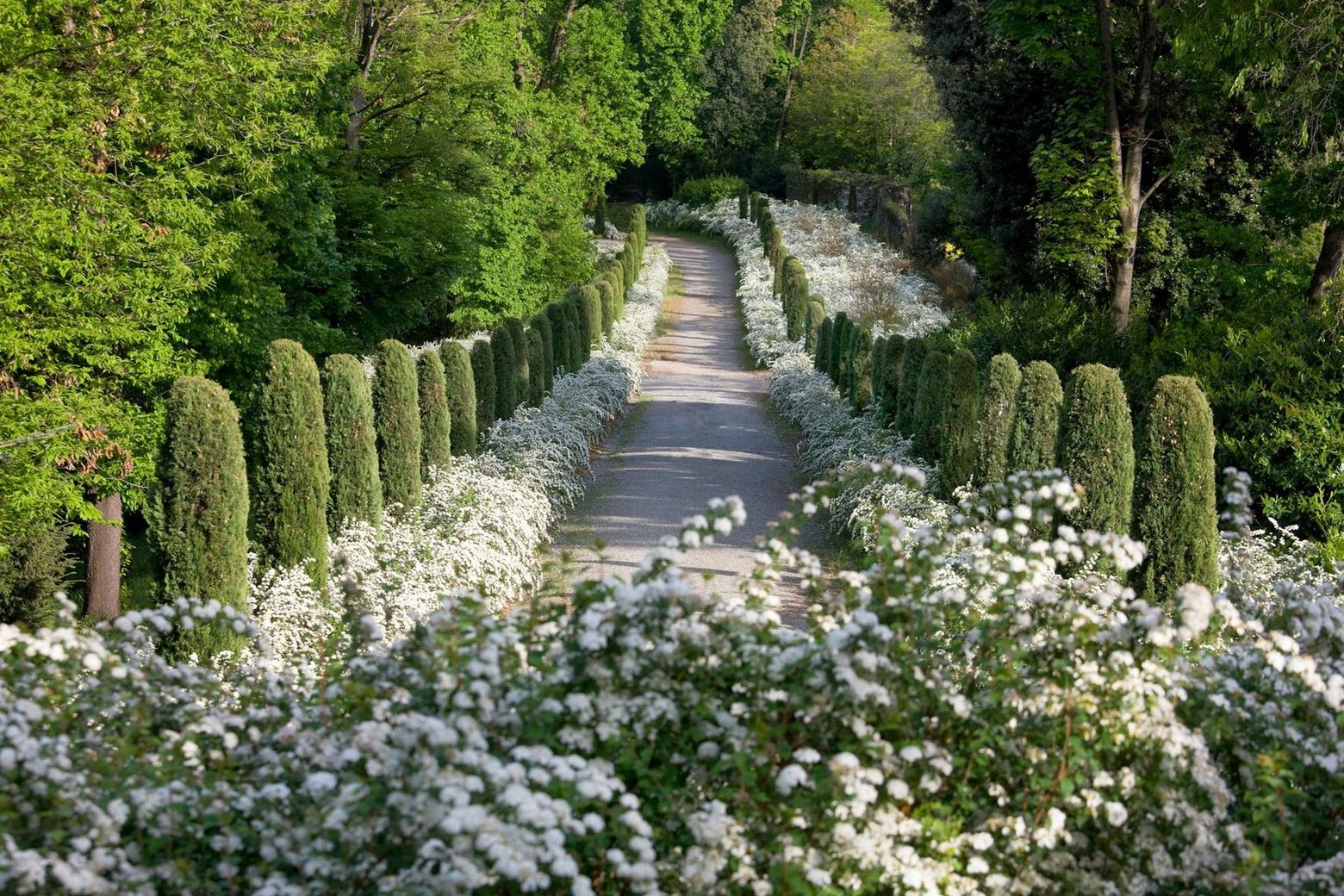 Замок Мазино: Входной билет - photo 2