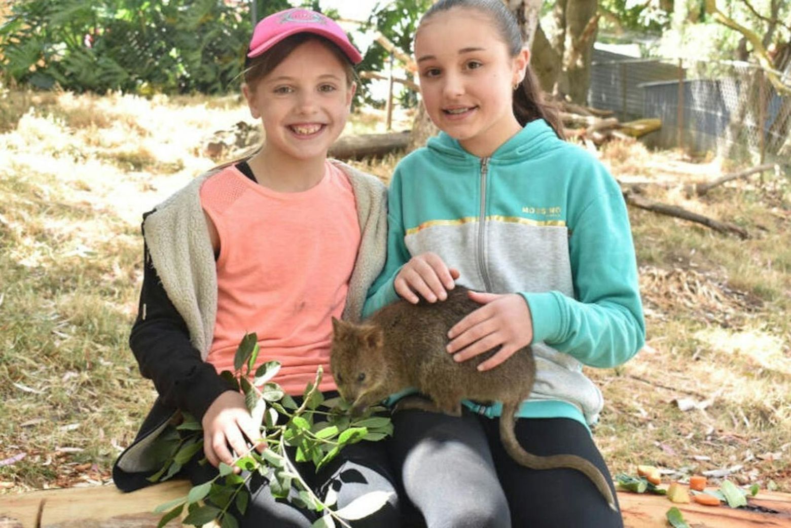 Парк дикой природы Gorge: Входной билет