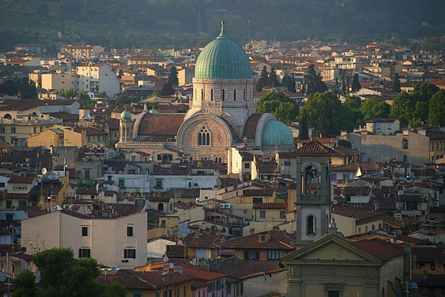 Синагога и Еврейский музей Флоренции: Входной билет