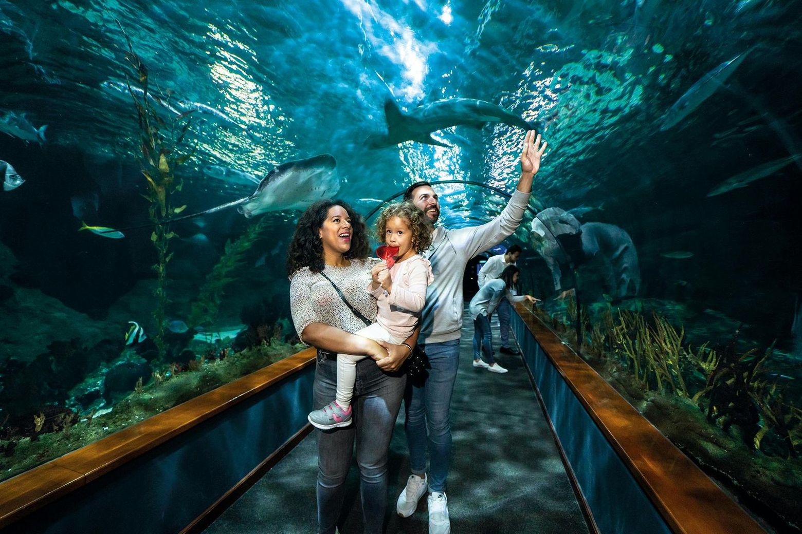 Парк Loro Parque: Входной билет