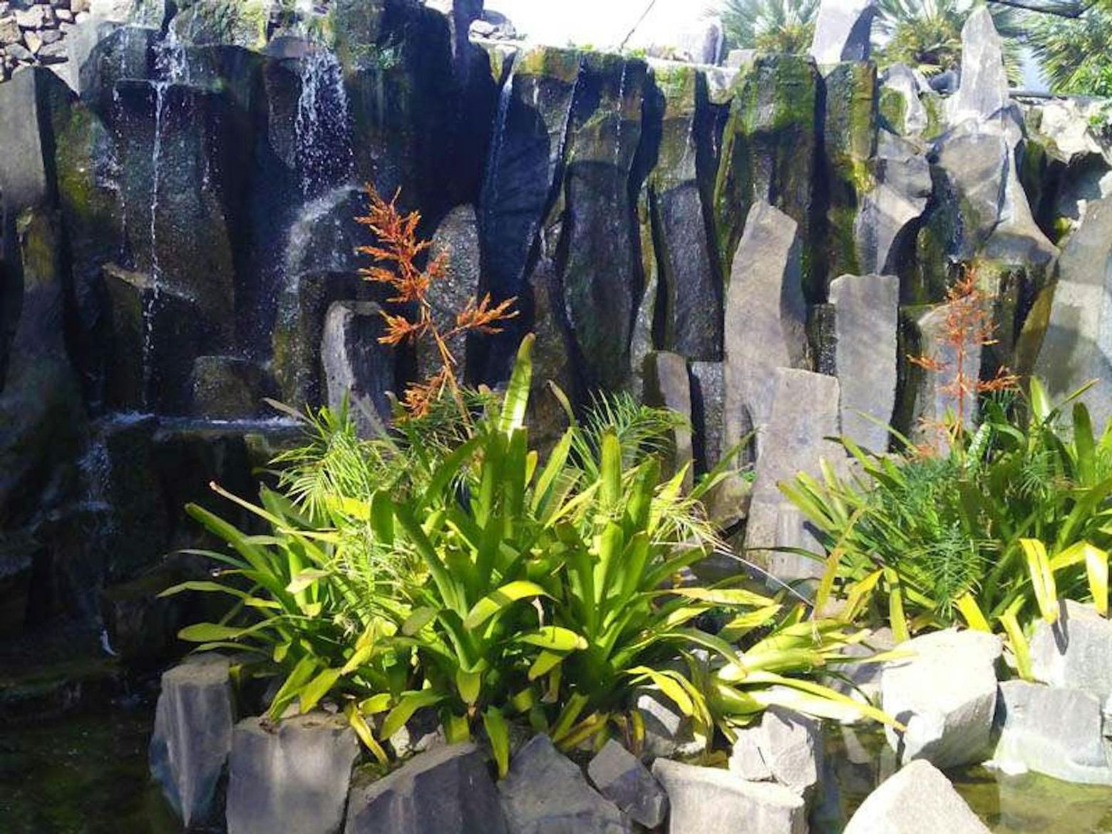 Пальметум Санта-Крус-де-Тенерифе: Входной билет - photo 2