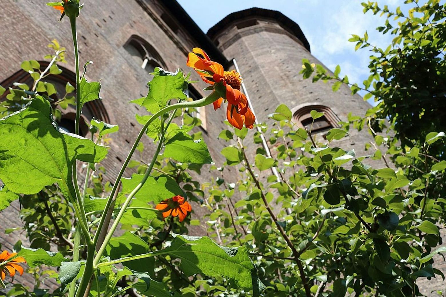 Палаццо Мадама: Билет с входом без очереди - photo 2