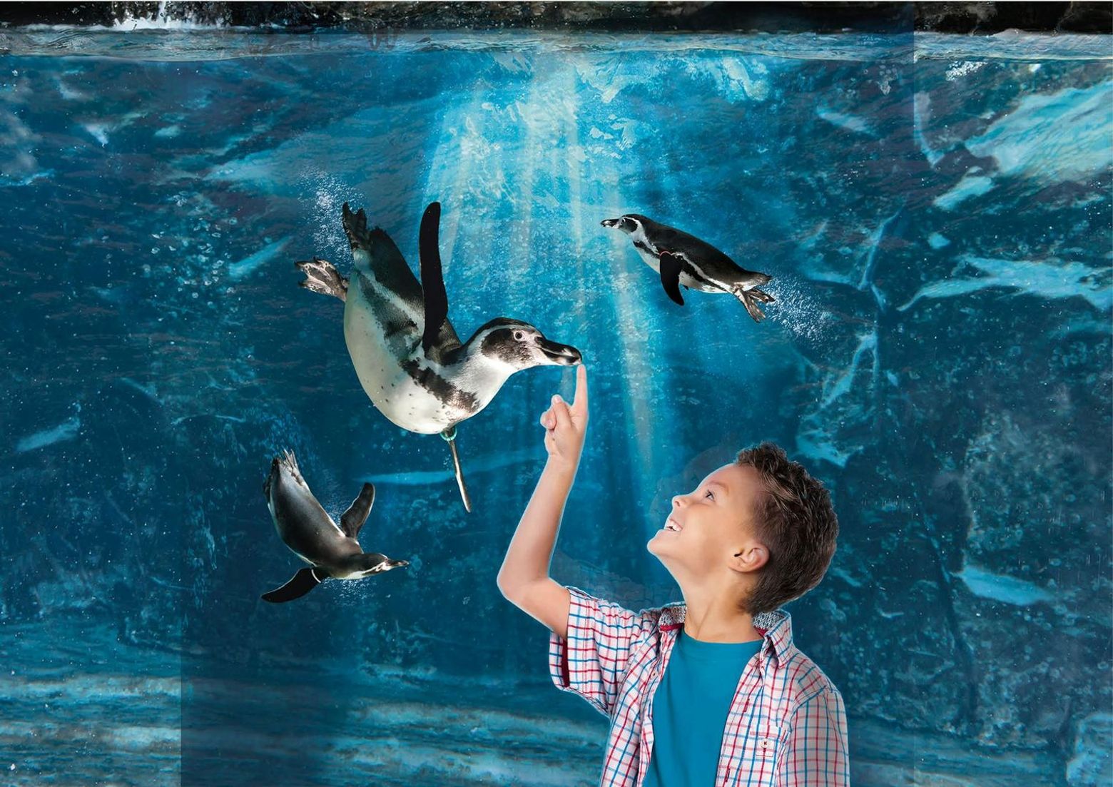 Аквариум Каттолики: Билет с быстрым входом