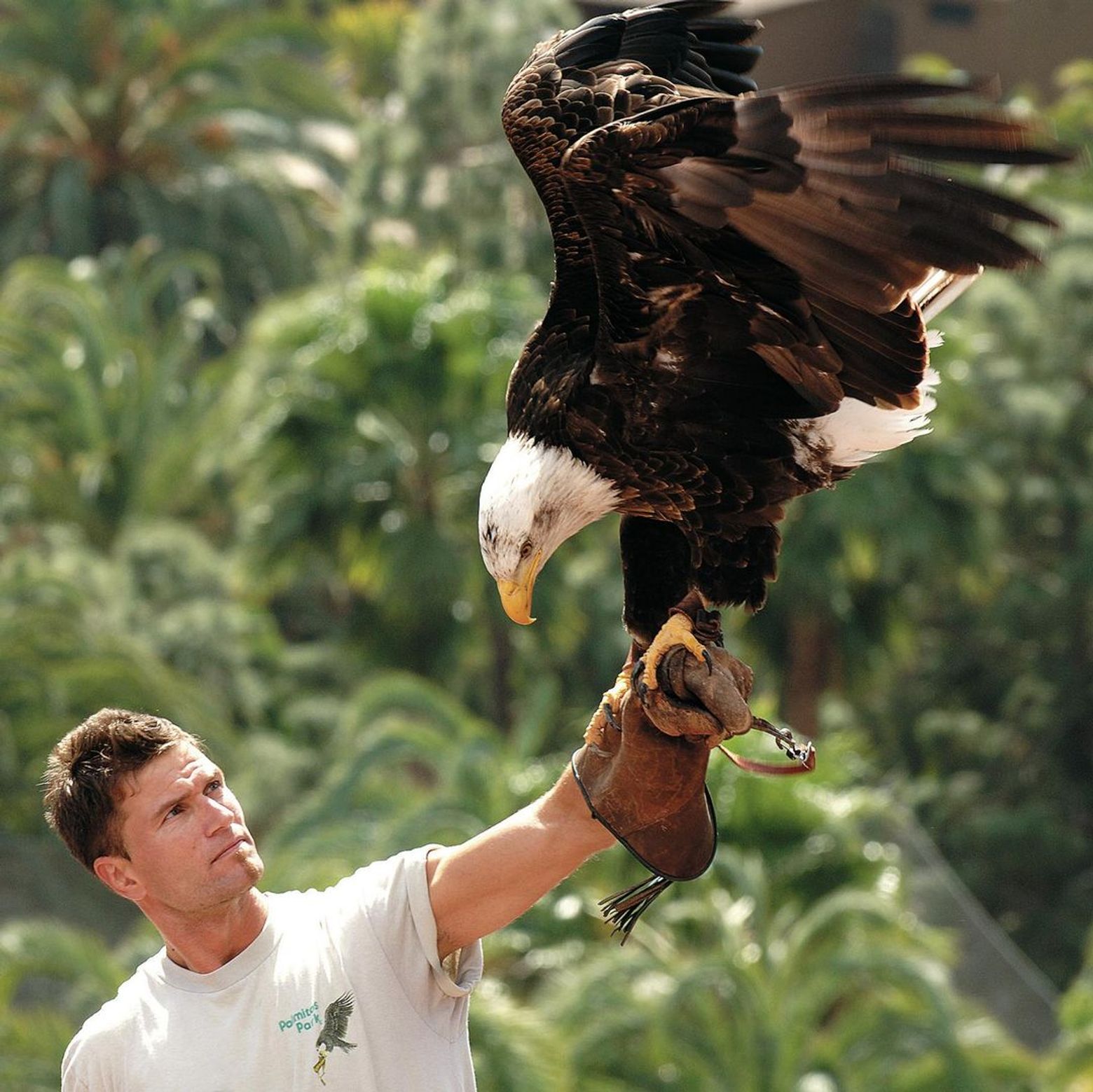 Парк Пальмитос: Входной билет