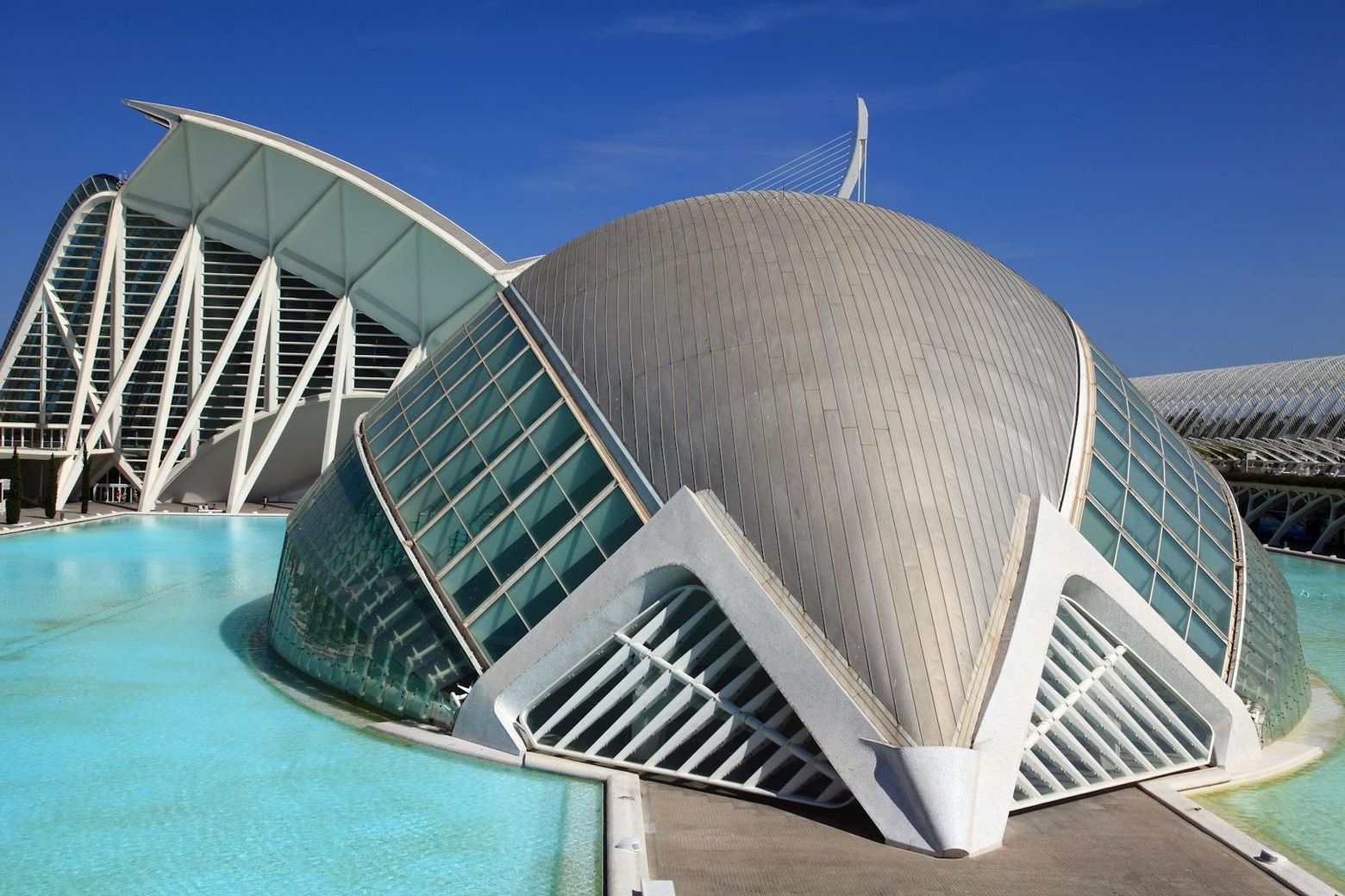 Полушарие: Билет с входом без очереди - photo 2