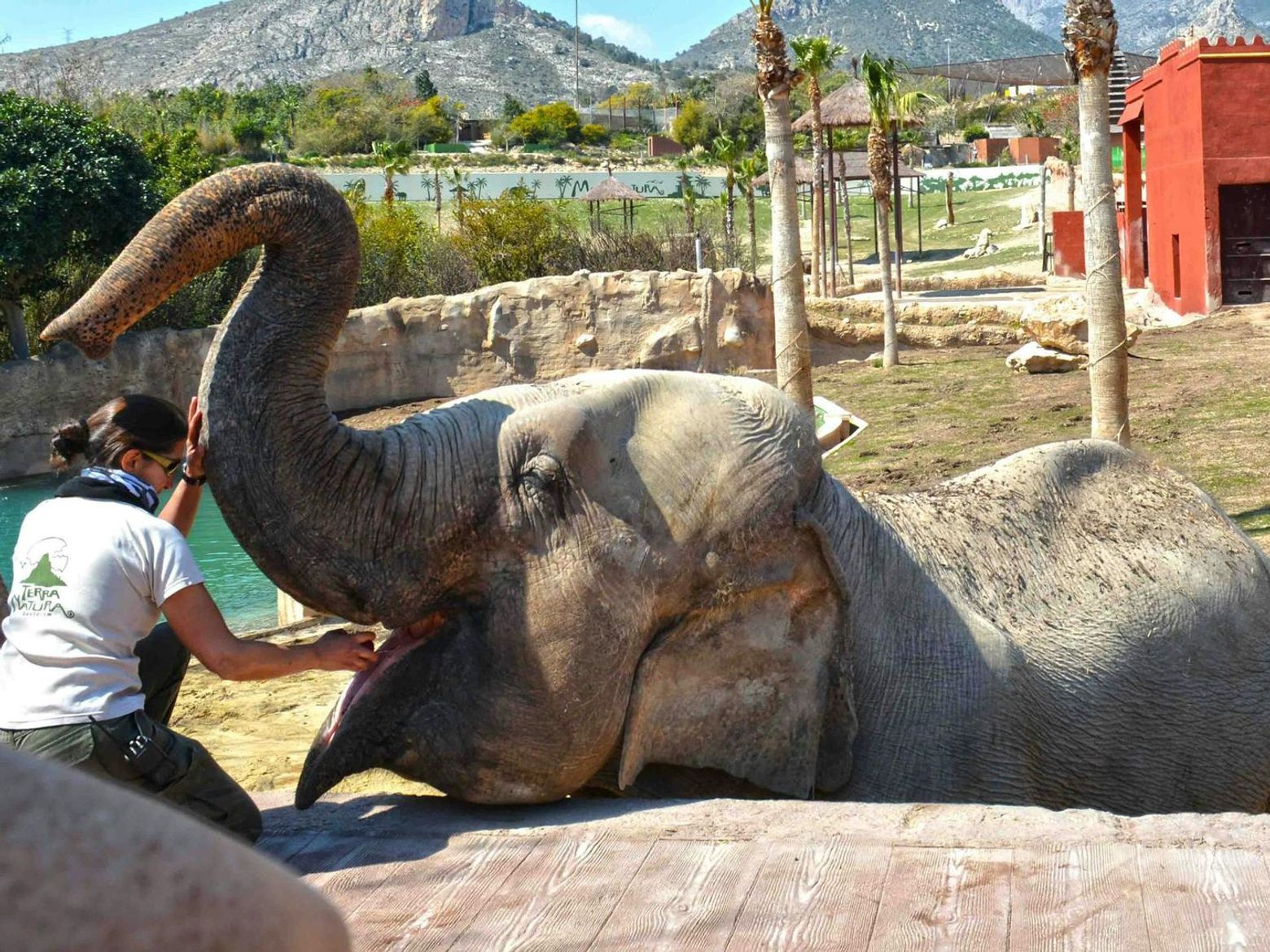Terra Natura Benidorm: Входной билет - photo 2