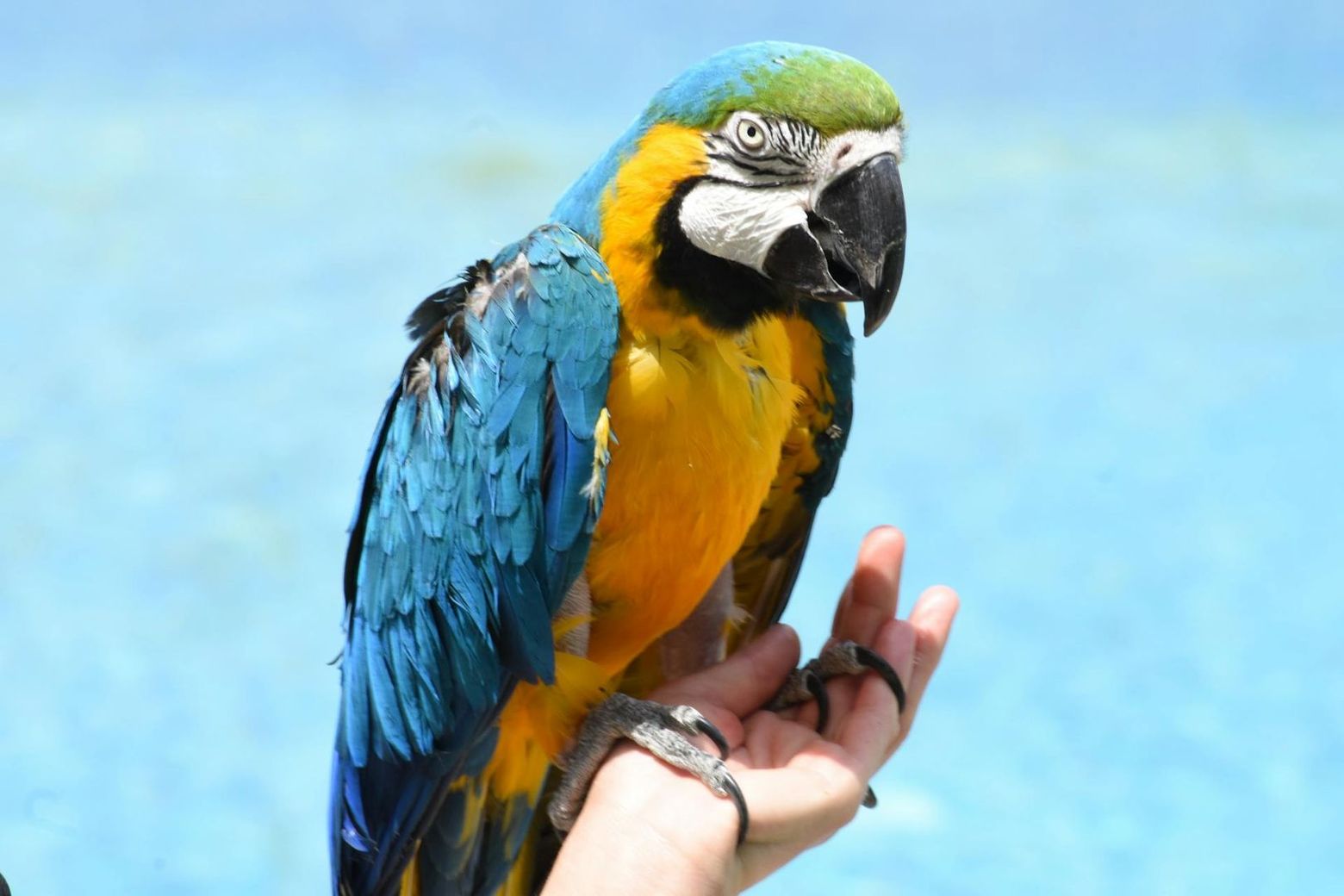 Terra Natura Murcia: Входной билет - photo 2