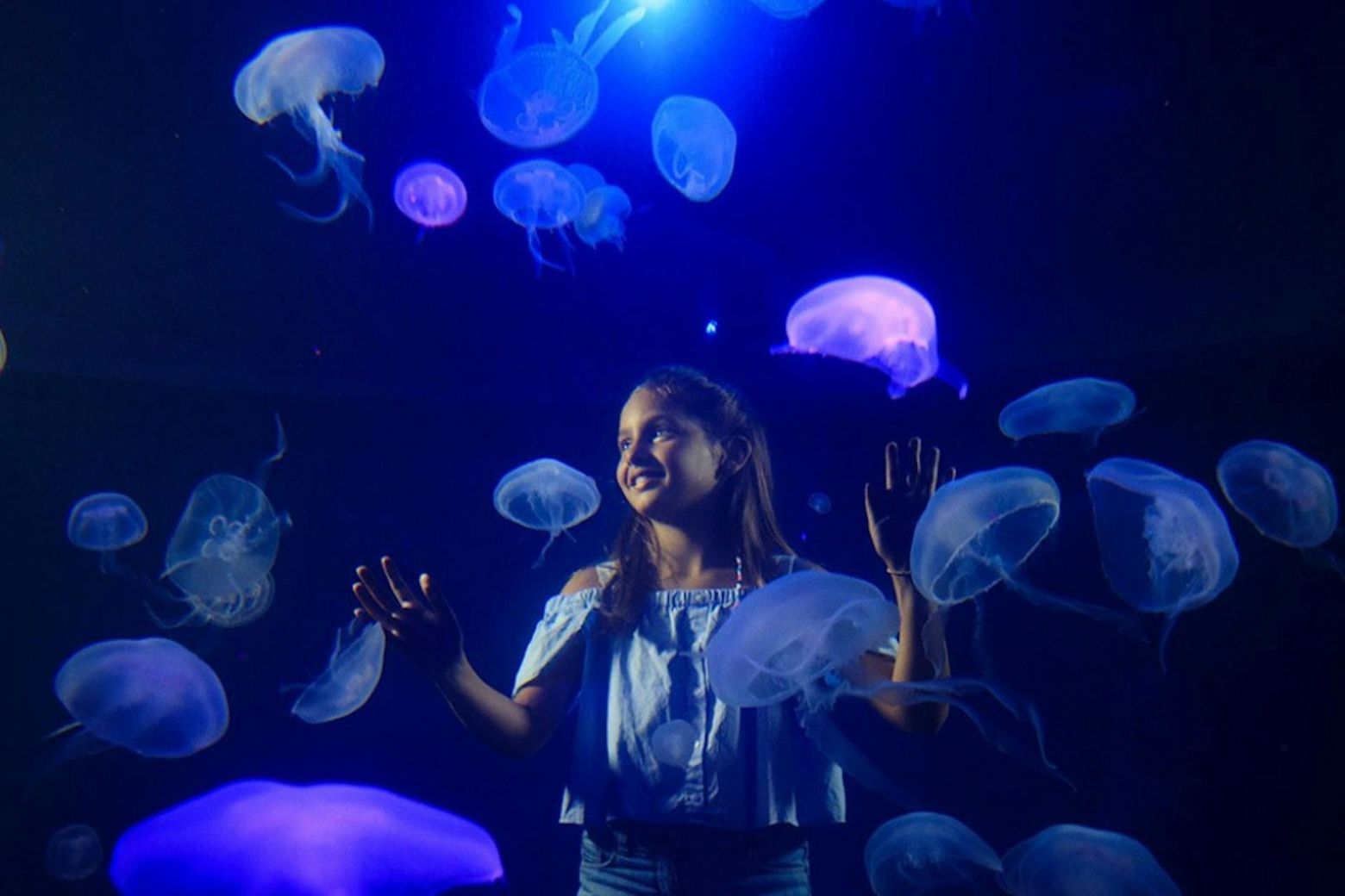 Аквариум Пальмы: Билет с входом без очереди + Дополнительный 3D-кинотеатр Aquadome - photo 2