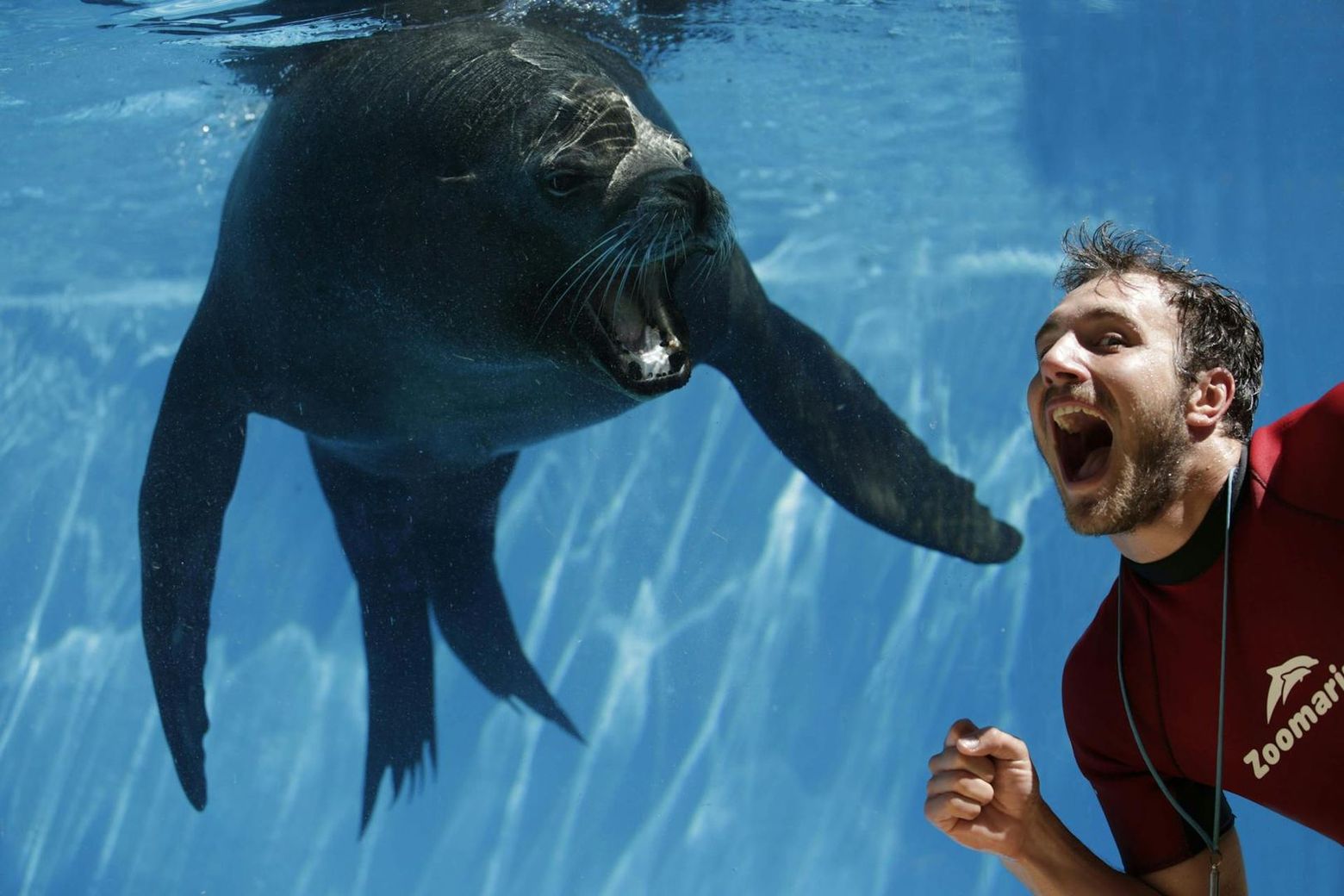 Зоопарк: Билет с быстрым входом - photo 2