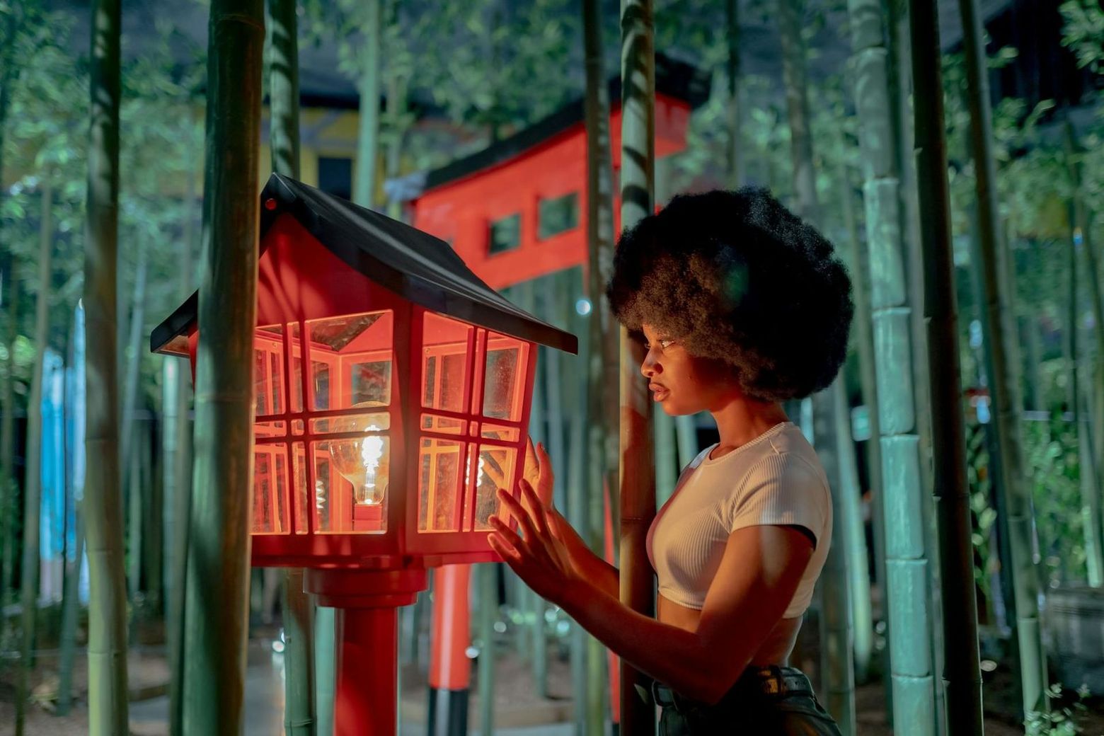 IKONO Мадрид: Входной билет - photo 2