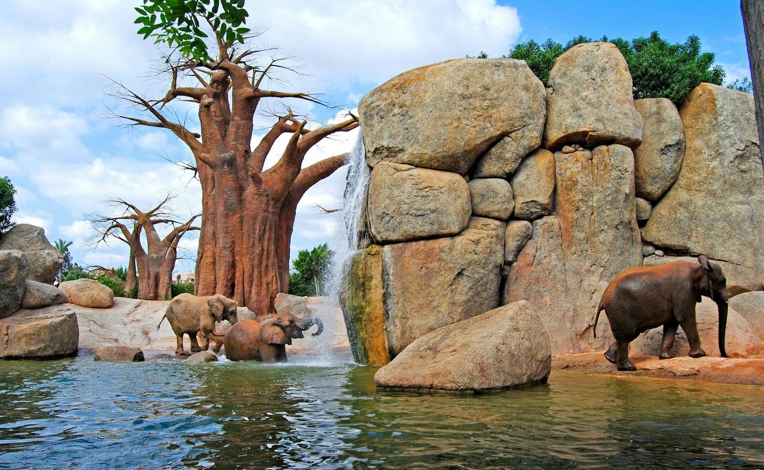 Биопарк Валенсии: Билет с быстрым входом - photo 2